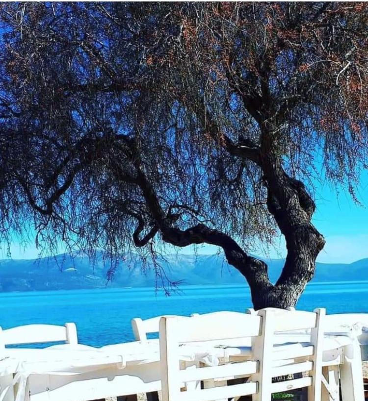 Villa Eratous Seaside House Agii Dimitrios ke Panteleimon Exterior foto